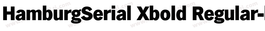 HamburgSerial Xbold Regular字体转换